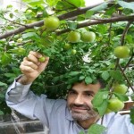 تصویر پروفایل علیرضا