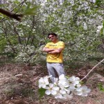 تصویر پروفایل سیاوش