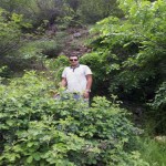 تصویر کاربر با کد 103509