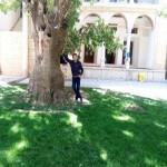 تصویر پروفایل بهزاد