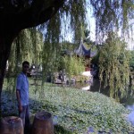 تصویر پروفایل پویا