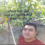 تصویر پروفایل امیر