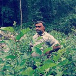 تصویر پروفایل بدون نام