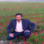 تصویر پروفایل آرش