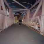 تصویر پروفایل طه