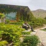 تصویر پروفایل ساسان