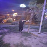تصویر کاربر با کد 547322