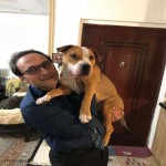 تصویر پروفایل حامد