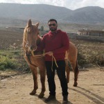 تصویر پروفایل حامد