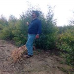 تصویر کاربر با کد 593189