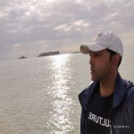 تصویر پروفایل شاهین