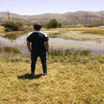 تصویر پروفایل اردلان