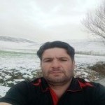 تصویر پروفایل رامین