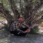 تصویر پروفایل سعید