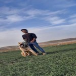 تصویر پروفایل بدون نام