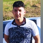 تصویر پروفایل شاهین