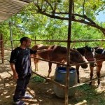 تصویر پروفایل سینا