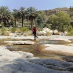 تصویر پروفایل گندم