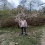 تصویر پروفایل محمد رضا