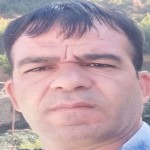 تصویر پروفایل محمدرضا وحیدیان