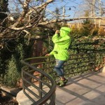 تصویر پروفایل آرام