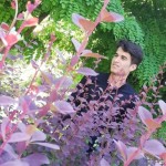 تصویر کاربر با کد 824390