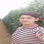 تصویر پروفایل حسام الدین مراد