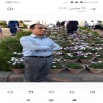 تصویر پروفایل مهدی