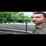 تصویر پروفایل سعید