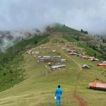تصویر پروفایل امیر علی