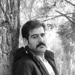 تصویر پروفایل حامد