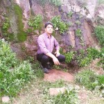 تصویر کاربر با کد 903215