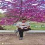 تصویر پروفایل حامد