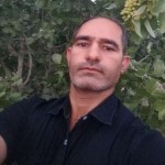 تصویر پروفایل احمد جمالی زاده