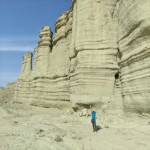 تصویر پروفایل داریوش