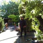 تصویر پروفایل وحید