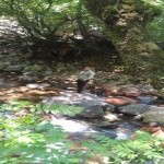 تصویر پروفایل ارش