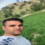 تصویر پروفایل ميلاد