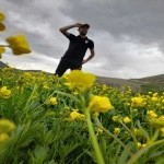 تصویر پروفایل وحید
