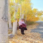تصویر پروفایل ارش