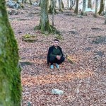 تصویر پروفایل علی