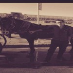 تصویر پروفایل پویا