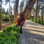 تصویر پروفایل نرگس