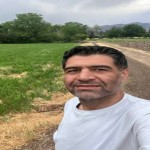 تصویر پروفایل ناصر نادری