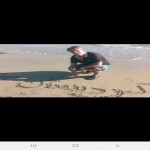 تصویر پروفایل رامین