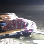 تصویر کاربر با کد 368705