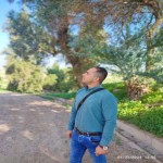 تصویر پروفایل حامد