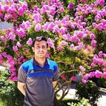 تصویر پروفایل حامد محمّدی
