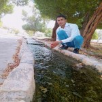 تصویر پروفایل آرش