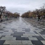 تصویر پروفایل علی